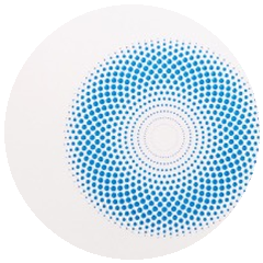 Detal plastra LifeWave X39